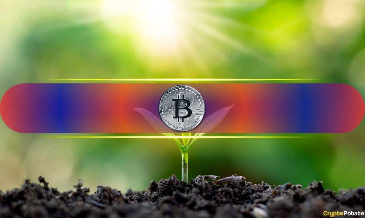 Mažiau nei 1 BTC gali pakakti išeiti į pensiją: štai kodėl