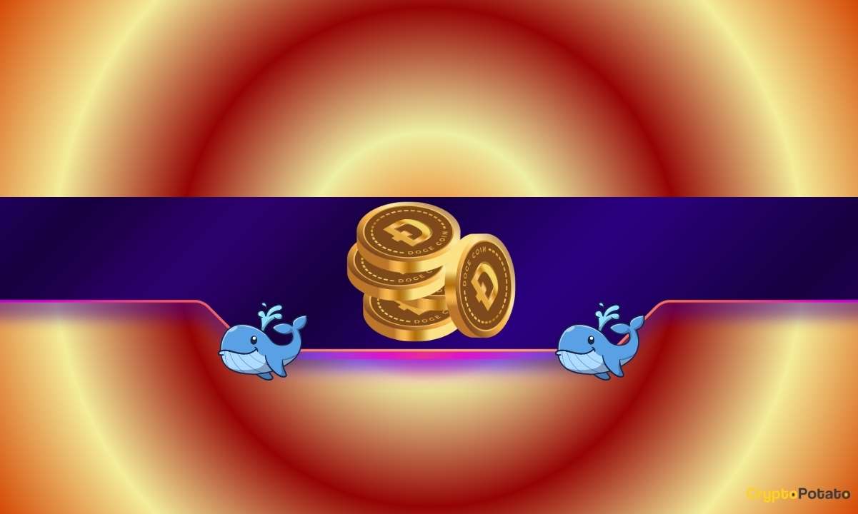 680 000 000 DOGE perkrautas per 4 dienas: kas signalizuoja apie banginius?