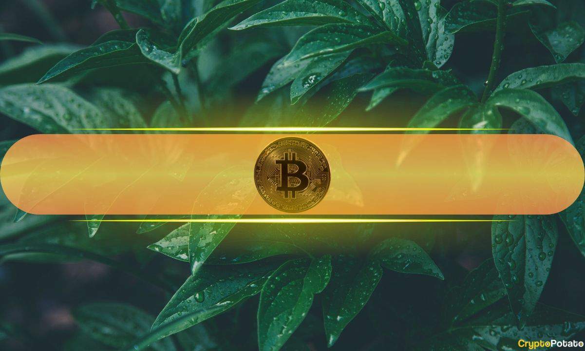 „Bitcoin“ sveikos nepastovumo juosta rodo realų 130 000 USD tikslą
