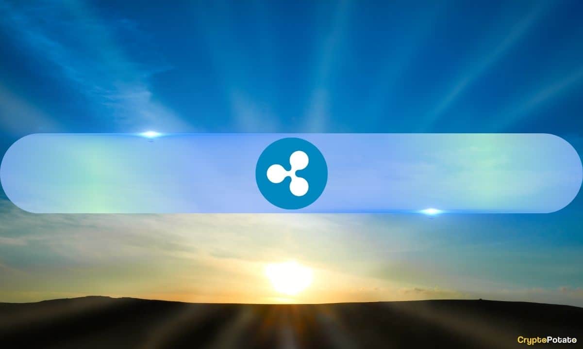 XRP nepaisė kainų kritimo su 42 naujomis milijonierių piniginėmis 2026 m