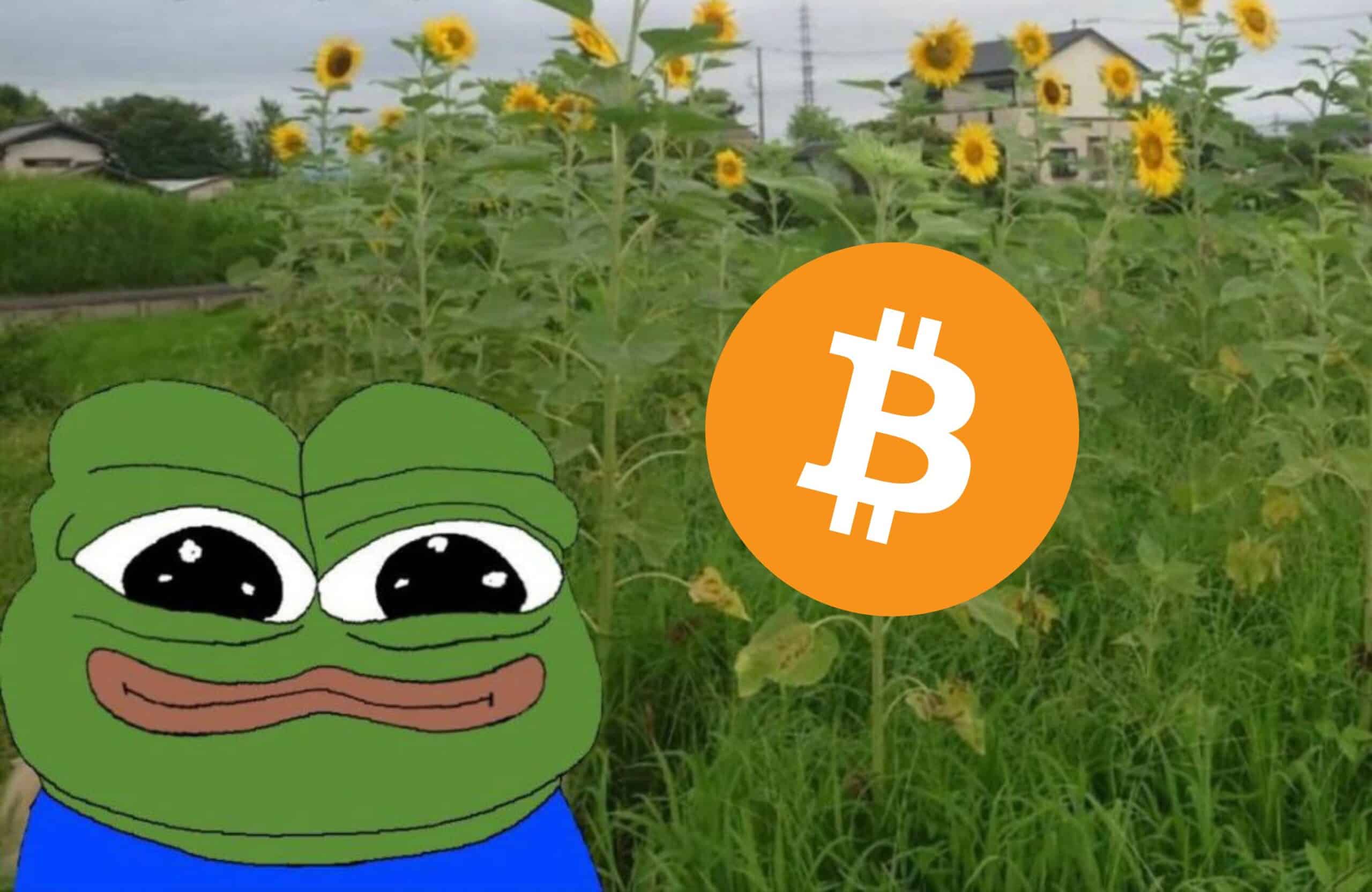 „Bitcoin“ registruoja trečią savaitės prieaugį, nes ETF pinigai tyliai įplaukia