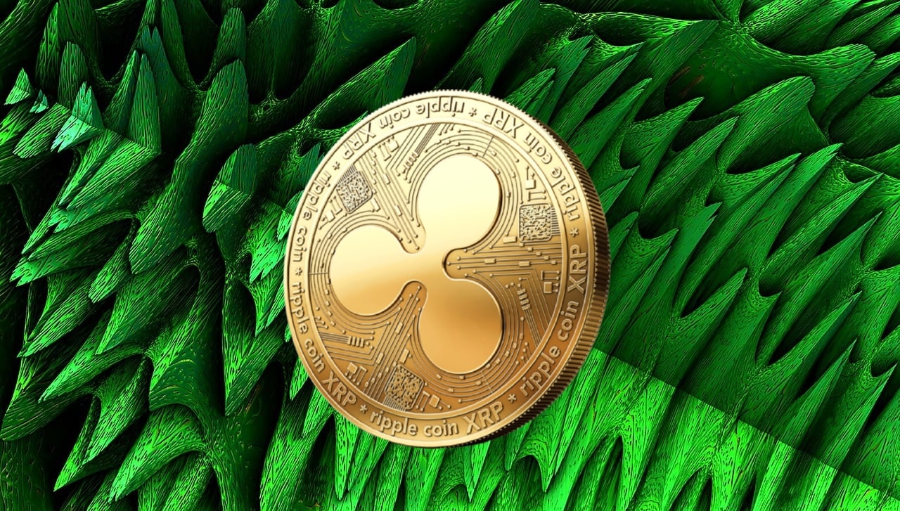 XRP nukrito 4 proc. kaip tinklo rekordų didžiausias realizuotas nuostolių šuolis nuo 2022 m